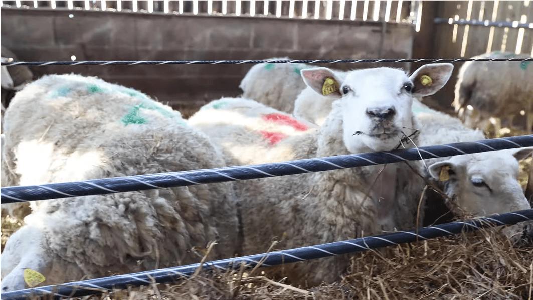Baccalauréat Professionnel Conduite et Gestion de l’Entreprise Agricole