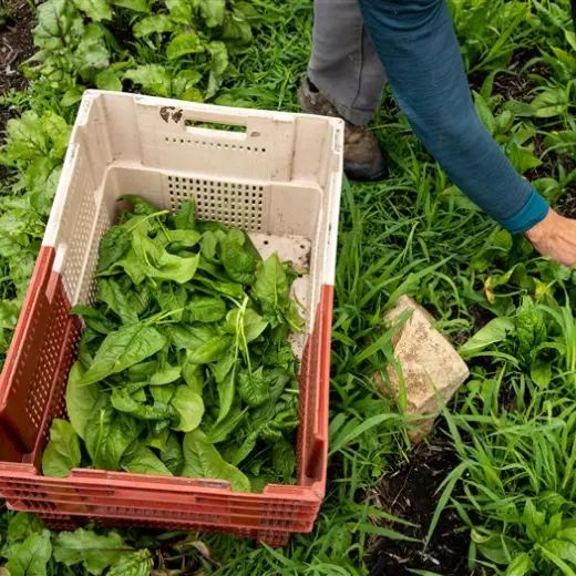 CAPa Métiers de l’Agriculture