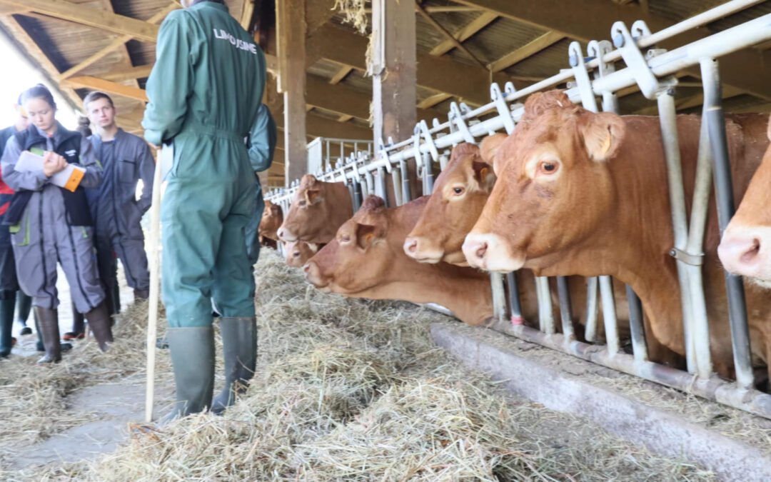 Productions Animales – Audit et Génétique en Élevage