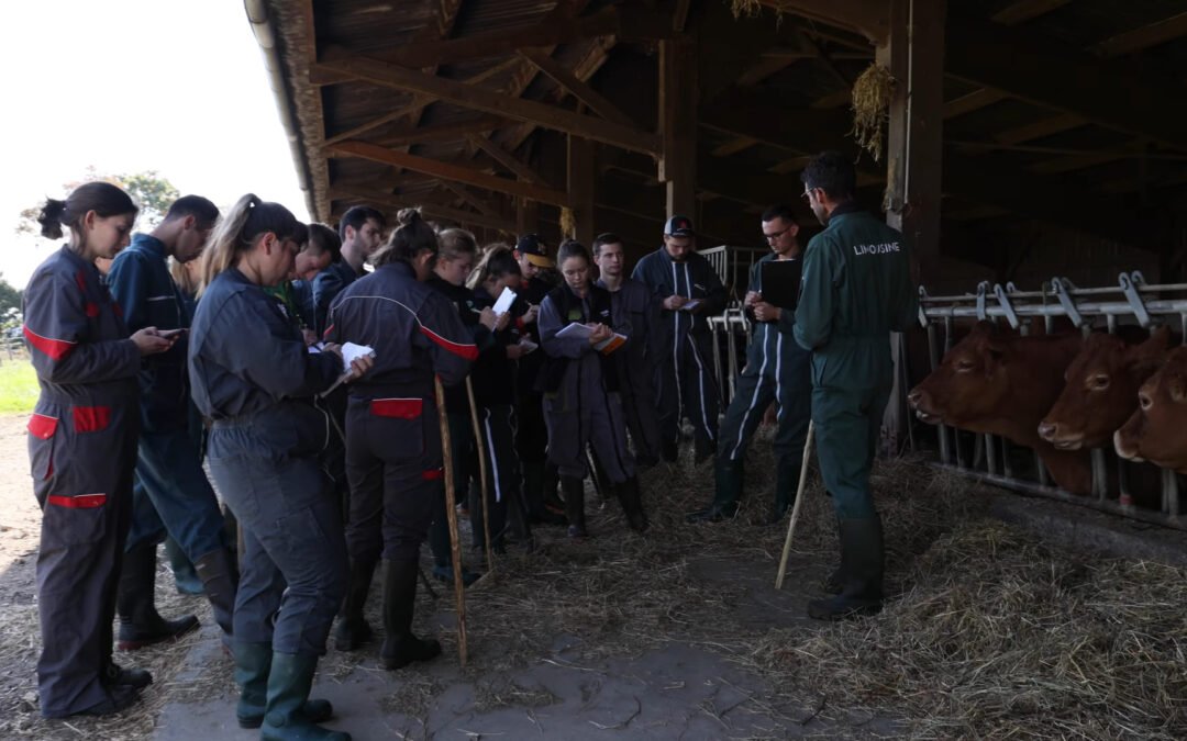 BTSA Métiers de l’élevage