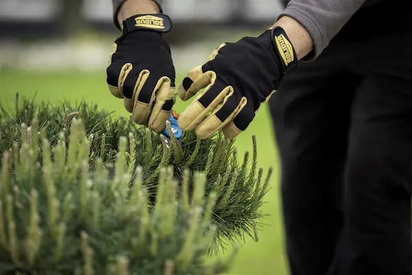 Option écologie lycée des Vaseix