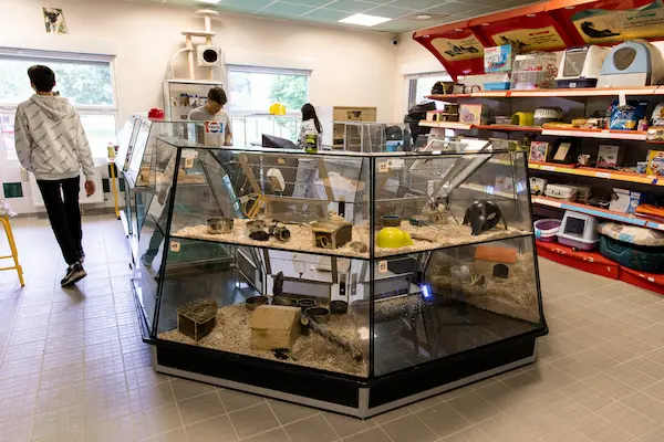 Préparation aux épreuves E5/E7