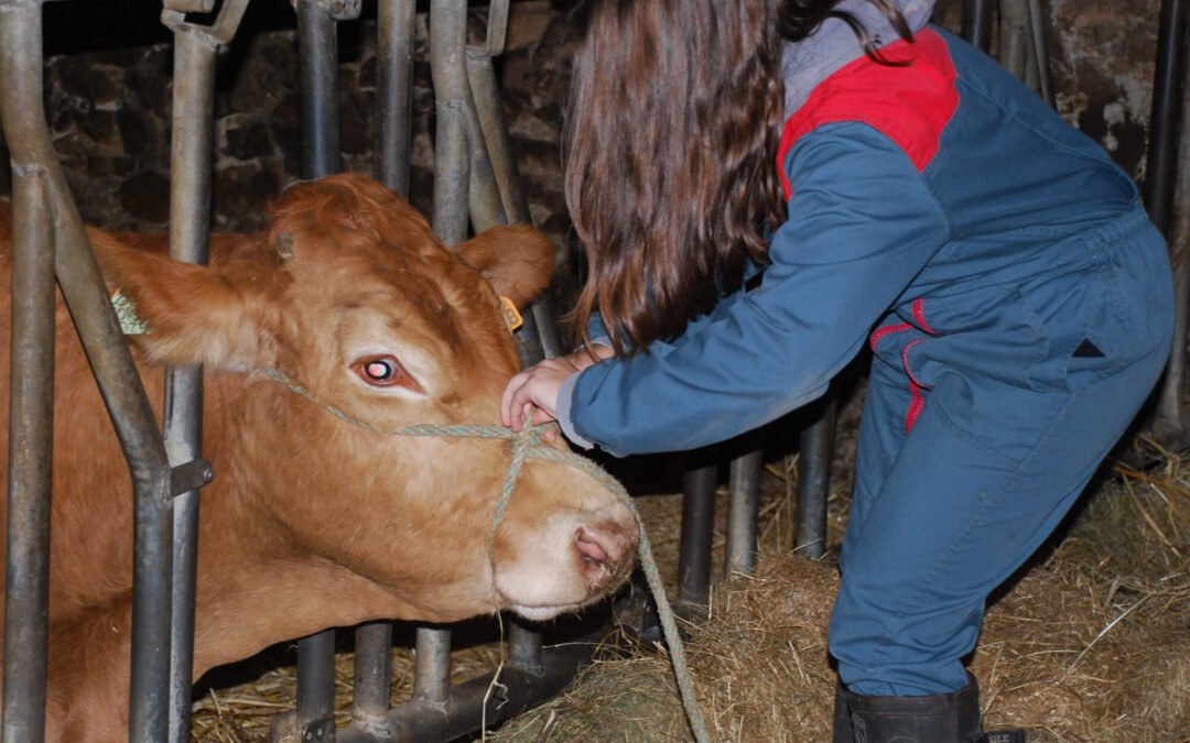 Baccalauréat STAV Production