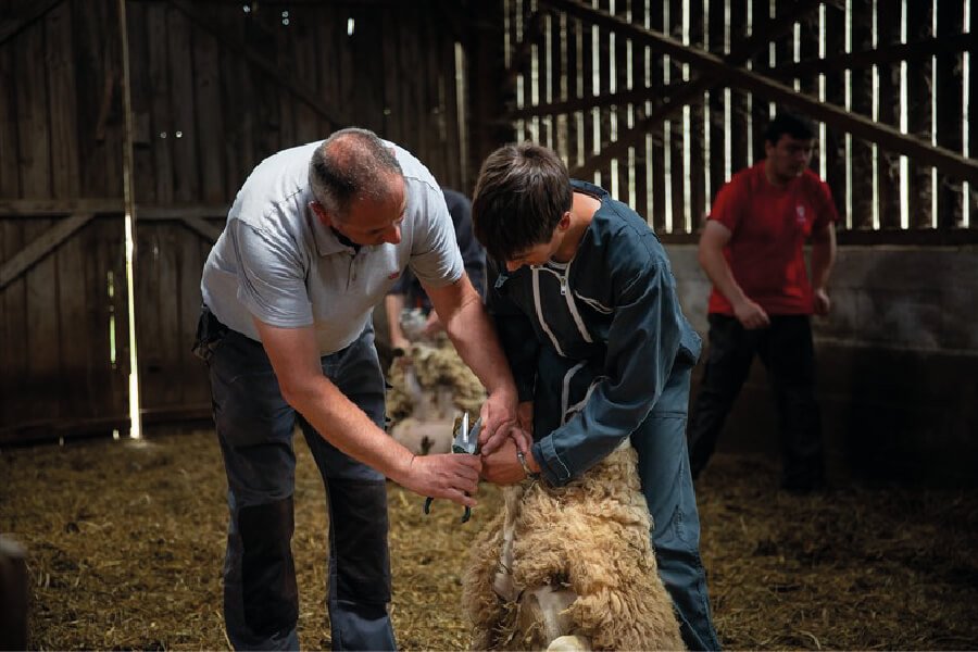 image-etre-apprenti-3