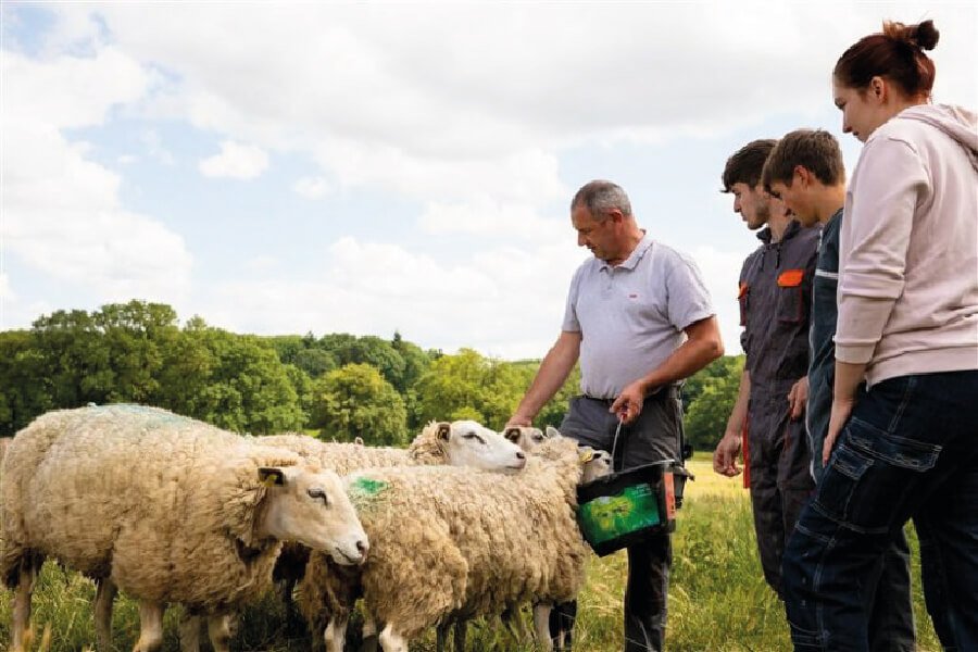 image-site-formation-10